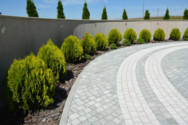 Best Best Driveway Pavers  in Piney Mountain, VA