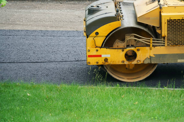 Best Local Driveway Pavers  in Piney Mountain, VA